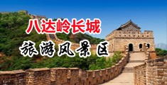 免费看插鸡中国北京-八达岭长城旅游风景区